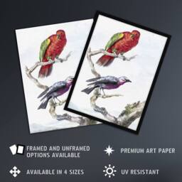 "Artery8 Red Green Parrot & Bird Watercolour Schouman Wall Art Print in White - Size: W12"" x H16""" - thumbnail 2