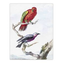 "Artery8 Red Green Parrot & Bird Watercolour Schouman Wall Art Print in White - Size: W12"" x H16""" - thumbnail 1