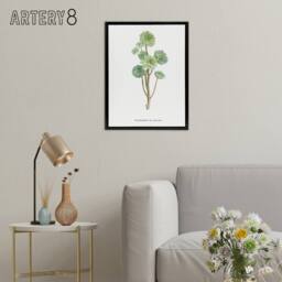 "Artery8 Tree Houseleek Succulent Redoute Vintage Black Framed Canvas Wall Art in White - Size: W12"" x H16""" - thumbnail 3