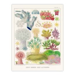 Artery8 William Saville Kent Framed Wall Art Great Barrier Reef Alcyonaria in White - Size: A4 - thumbnail 3