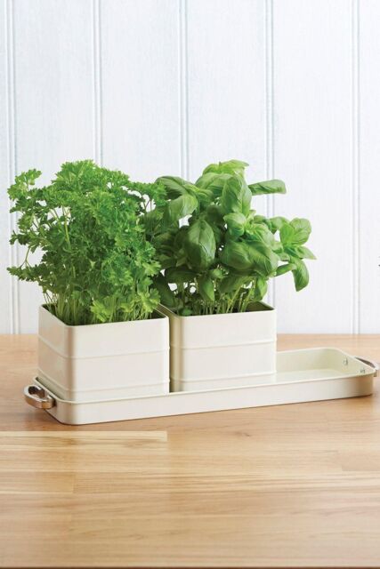 Living Nostalgia Antique Cream Herb Pots with Tray - image 1