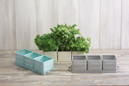 Living Nostalgia Antique Cream Herb Pots with Tray - thumbnail 5