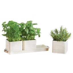 Living Nostalgia Antique Cream Herb Pots with Tray - thumbnail 9