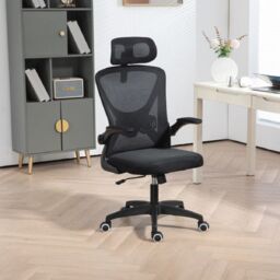 EONLION Adjustable Swivel Desk Chair, Flip-Up Armrest Study Chair in Black