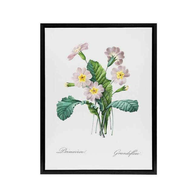 "Artery8 Primrose Floral Illustration Redoute Black Framed Canvas Wall Art in White - Size: W12"" x H16""" - image 1