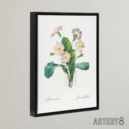 "Artery8 Primrose Floral Illustration Redoute Black Framed Canvas Wall Art in White - Size: W12"" x H16""" - thumbnail 2