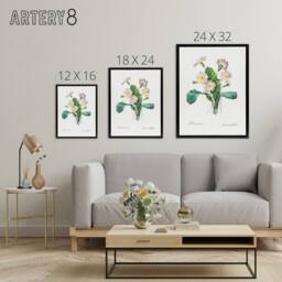 "Artery8 Primrose Floral Illustration Redoute Black Framed Canvas Wall Art in White - Size: W12"" x H16""" - thumbnail 4