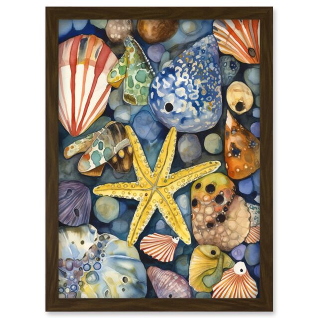 Artery8 The Rock Pool Seaside Clams Starfish Bathroom Artwork Framed Wall Art Print A4 in Brown - image 1