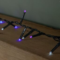 Samuel Alexander 1000 LED TreeBrights String Lights with Timer in Blue, Purple & White in Dark Green - thumbnail 5