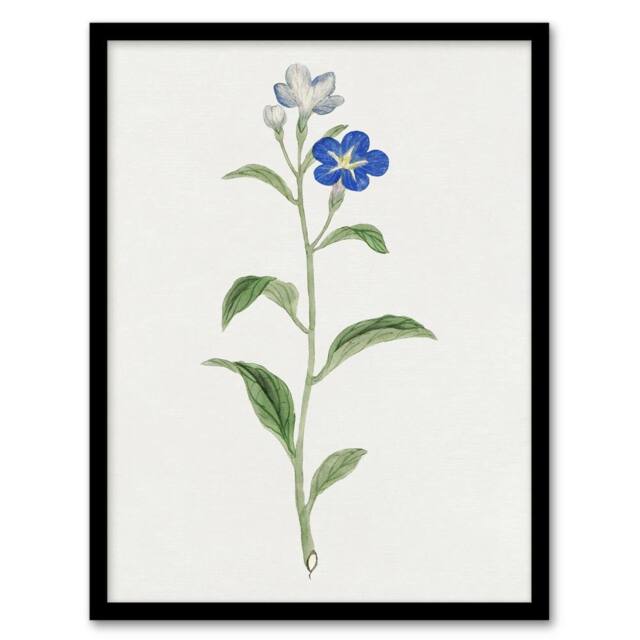 Artery8 Blue Flower Framed Wall Art Print Vintage Japanese Botanical in White - Size: A4 - image 1