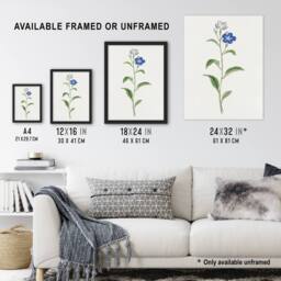 Artery8 Blue Flower Framed Wall Art Print Vintage Japanese Botanical in White - Size: A4 - thumbnail 3