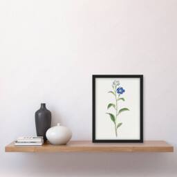 Artery8 Blue Flower Framed Wall Art Print Vintage Japanese Botanical in White - Size: A4 - thumbnail 4
