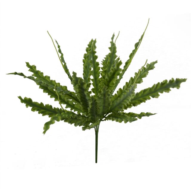 Leaf 40cm Artificial Crocodile Fern Plant in Green - image 1