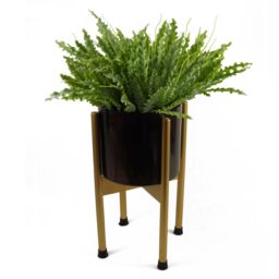 Leaf 40cm Artificial Crocodile Fern Plant in Green - thumbnail 2