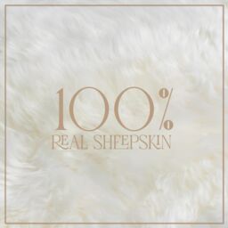 Infinity Leather Luxury Genuine Sheepskin 40x40cm Real Wool Single Sided Cushion in Ivory - Size: 40 cm x 40 cm - thumbnail 3