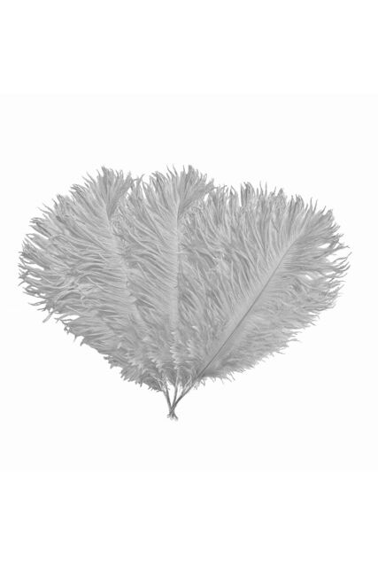 Neel Blue 10pcs Ostrich Plume, Natural Feather, 35cm - 40cm in Silver - image 1