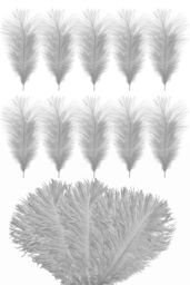 Neel Blue 10pcs Ostrich Plume, Natural Feather, 35cm - 40cm in Silver - thumbnail 6
