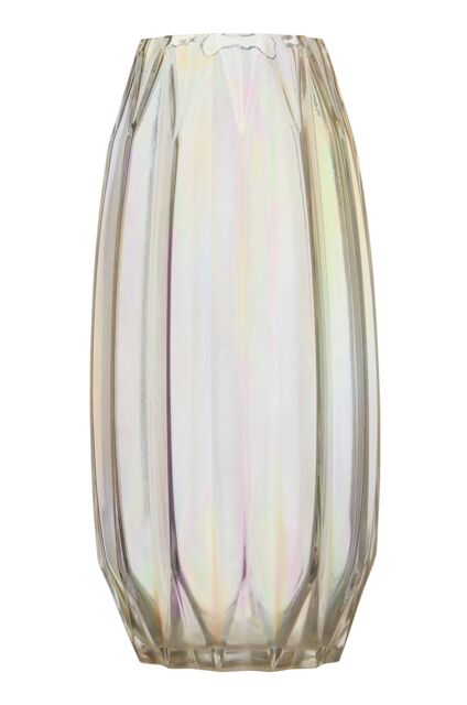 Orsina Large Glass Vase with Iridescent Finish in Clear - image 1