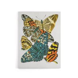 "Artery8 Vintage Butterflies Blue Yellow Canvas Wall Art Print Seguy - Size: W18"" x H24""" - thumbnail 1
