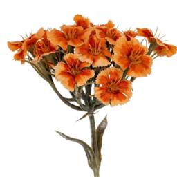 Lemon Pavilion Furniture and Decor Dianthus Spray Artificial Flower - Plastic - L14xW14xH55 cm - Orange - thumbnail 2