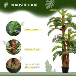 Wyld Haus Nohane Roma Artificial Green Fern Plant in Pot L18 x D18 x H150cm - thumbnail 6