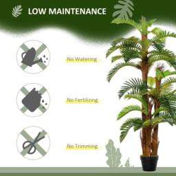 Wyld Haus Nohane Roma Artificial Green Fern Plant in Pot L18 x D18 x H150cm - thumbnail 7