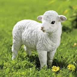 Gainsborough Larry Lamb Garden Ornament In Weatherproof Polyresin in White - thumbnail 1