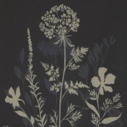Lemon Pavilion Furniture and Decor Flora & Fauna Collection Meadow on Linen in Beaded Frame in White - thumbnail 2