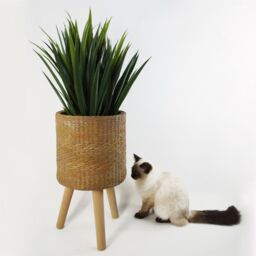 Leaf 54cm x 30cm Rattan Effect Composite Large Planter in Dark Brown - Size: 54 cm x 30 cm - thumbnail 2