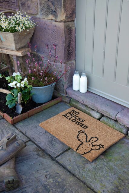 Artsy Mats No Pricks Allowed Cactus Doormat in Beige - Size: 40 cm x 60 cm - image 1