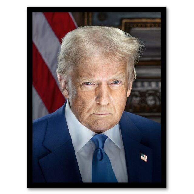 "Artery8 United States 47th President Donald Trump Portrait Framed Wall Art in Blue - Size: W12"" x H16""" - image 1