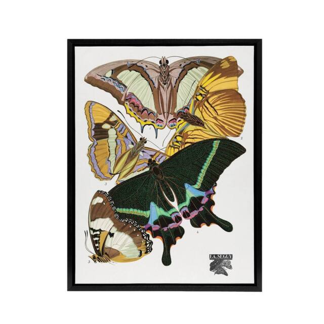 "Artery8 Bright Vintage Butterflies Papillons Framed Canvas Wall Art Print Seguy - Size: W12"" x H16""" - image 1