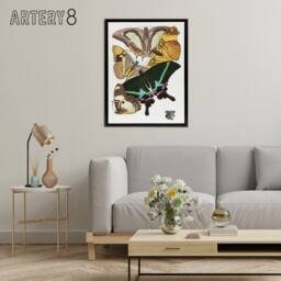 "Artery8 Bright Vintage Butterflies Papillons Framed Canvas Wall Art Print Seguy - Size: W12"" x H16""" - thumbnail 3
