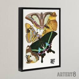 "Artery8 Bright Vintage Butterflies Papillons Framed Canvas Wall Art Print Seguy - Size: W12"" x H16""" - thumbnail 2