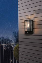 Eglo Alamonte Metal IP44 Outdoor Wall Light With Sensor in Black - thumbnail 2