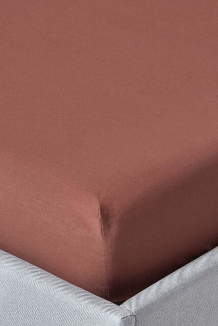 Homescapes Egyptian Cotton Deep Fitted Sheet 18 inch 200 Thread Count in Chocolate - Size: Single Fitted - image 1