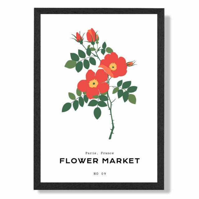 ARTZE Orange Cosmos Plant Flower Market Simplicity Framed Print SIZE: A2 with Black Frame - Size: A4 - image 1