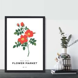 ARTZE Orange Cosmos Plant Flower Market Simplicity Framed Print SIZE: A2 with Black Frame - Size: A4 - thumbnail 2
