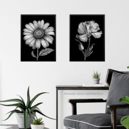 Artery8 Wall Art Print Set of 3 Elegant Single Tulip Daisy Rose Spring Flowers Black & White Floral Impact Artworks Living Room Poster s Pack - thumbnail 6