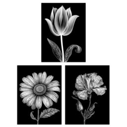 Artery8 Wall Art Print Set of 3 Elegant Single Tulip Daisy Rose Spring Flowers Black & White Floral Impact Artworks Living Room Poster s Pack - thumbnail 1