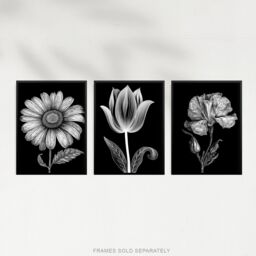 Artery8 Wall Art Print Set of 3 Elegant Single Tulip Daisy Rose Spring Flowers Black & White Floral Impact Artworks Living Room Poster s Pack - thumbnail 5