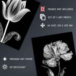 Artery8 Wall Art Print Set of 3 Elegant Single Tulip Daisy Rose Spring Flowers Black & White Floral Impact Artworks Living Room Poster s Pack - thumbnail 4