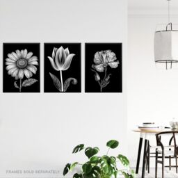 Artery8 Wall Art Print Set of 3 Elegant Single Tulip Daisy Rose Spring Flowers Black & White Floral Impact Artworks Living Room Poster s Pack - thumbnail 3