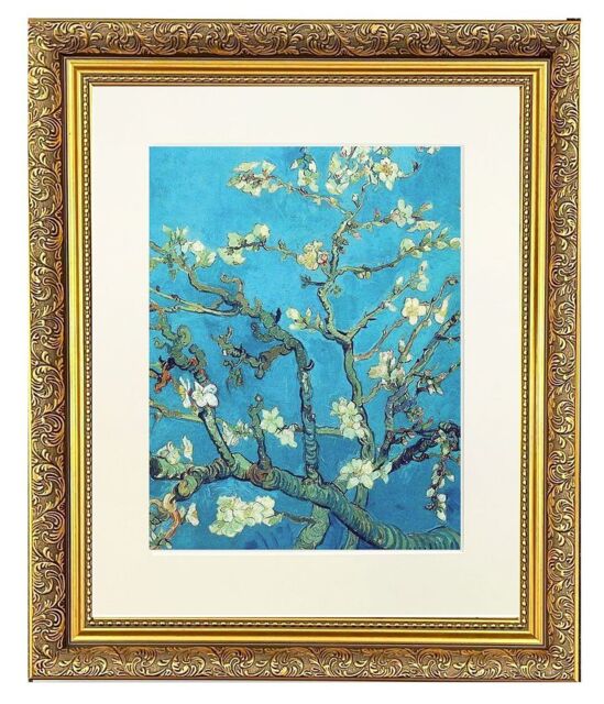 "Frames & Mirrors 4U Almond Blossom Mounted & Framed Print in Gold Dahlia Frame 22 x 18 Inch - Size: W22"" x H18""" - image 1
