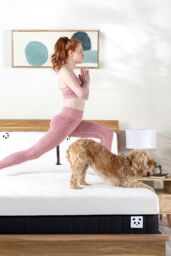 Panda London Panda Hybrid Bamboo Mattress Pro in White - Size: Small Double - thumbnail 5