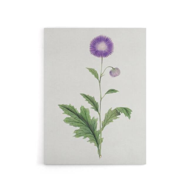 "Artery8 Thistle Flower Canvas Wall Art Print Vintage Japanese Botanical in Purple - Size: W18"" x H24""" - image 1