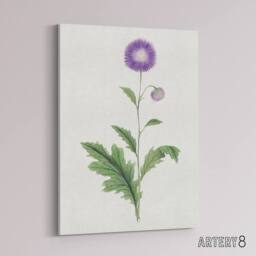 "Artery8 Thistle Flower Canvas Wall Art Print Vintage Japanese Botanical in Purple - Size: W18"" x H24""" - thumbnail 2