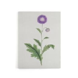 "Artery8 Thistle Flower Canvas Wall Art Print Vintage Japanese Botanical in Purple - Size: W18"" x H24""" - thumbnail 1