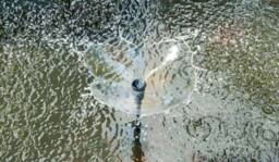 Primrose Solar Powered Water Fountain Pump Kit with LED Lights 300LPH in White - thumbnail 2