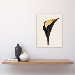 "Artery8 Elegant Calla Lily Flower Bloom Black Gold Floral Wall Art Print - Size: W24"" x H32""" - thumbnail 4